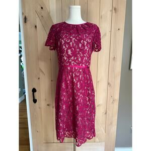 Adrianna Papell | Scalloped Lace Fuchsia Cocktail Dress | Size 10